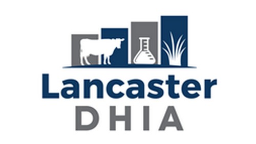 dhia-org-logo